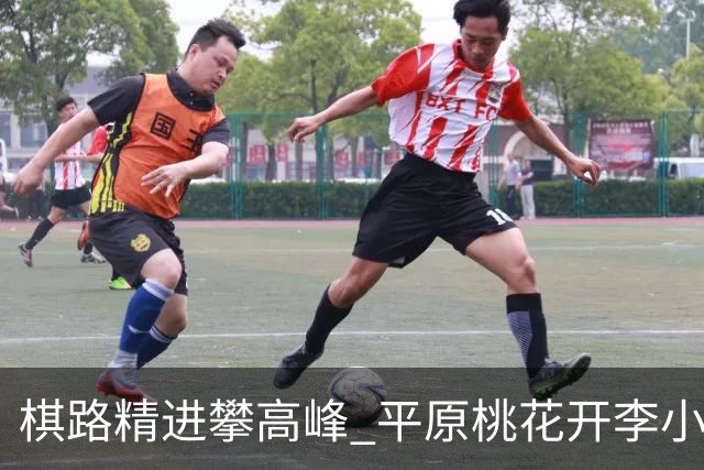 棋路精进攀高峰 平原桃花开李小溪荣升六段